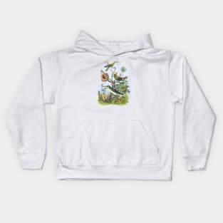 BIRDS Wildlife Illustration Kids Hoodie